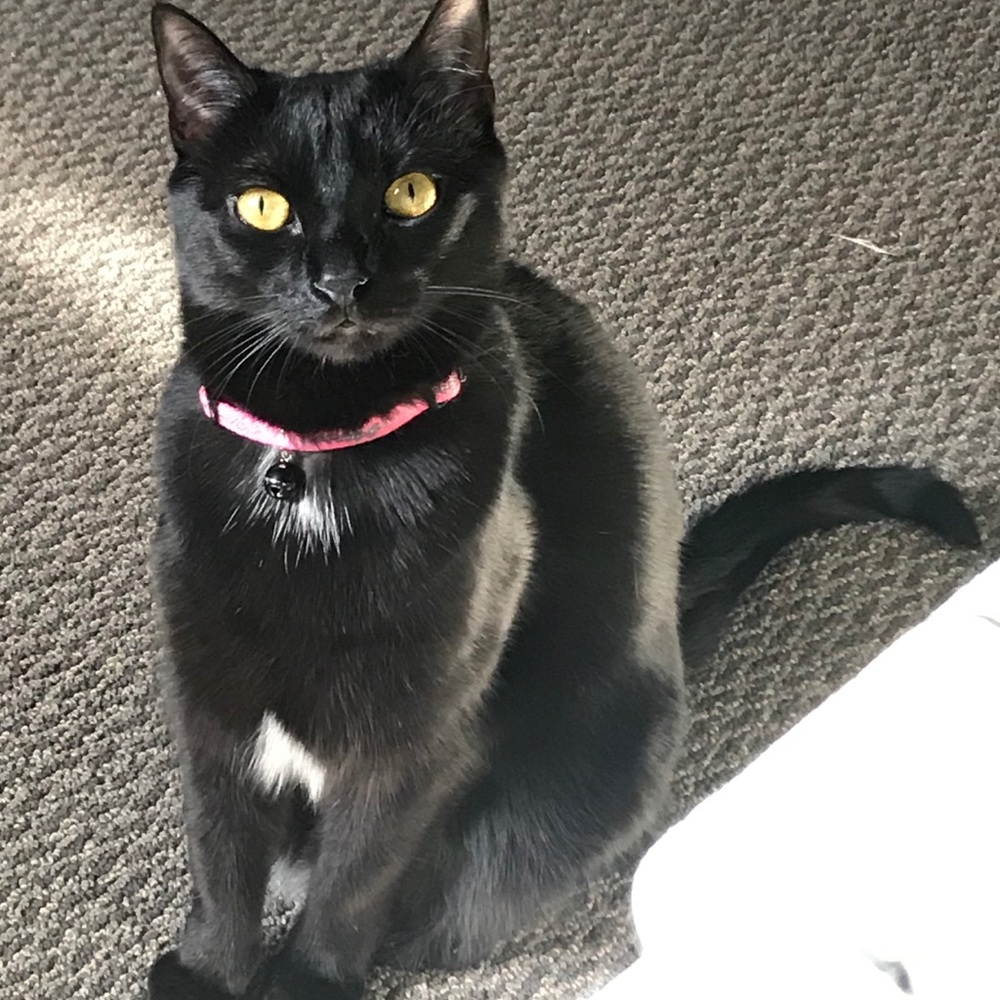 Meet your Posher, Kathi